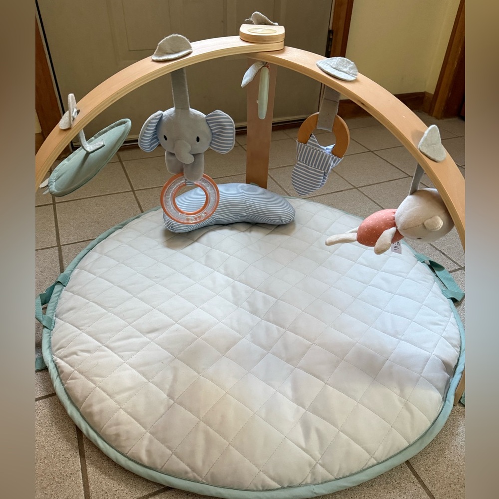 Baby Play Gym with Soft Toys